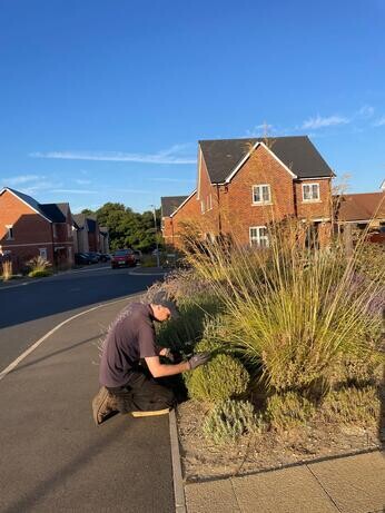 Weekly catch up with garden and propagation Weekly catch up with garden and propagation