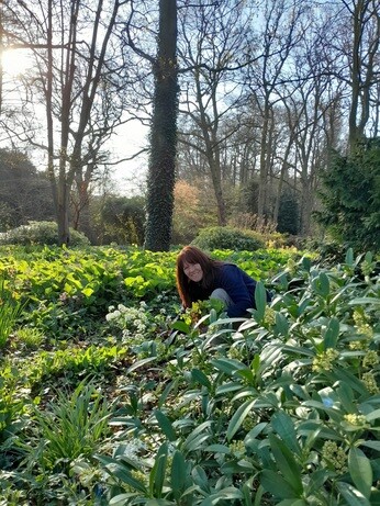 Weekly catch up with gardens & propagation