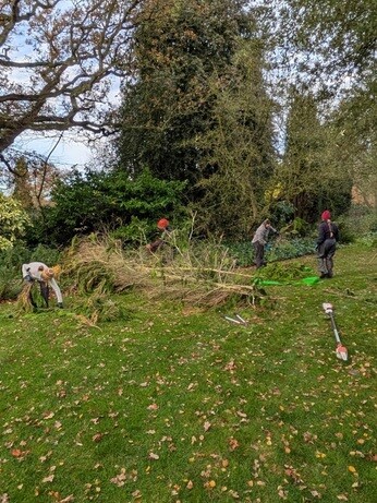 Weekly catch up with garden & propagation