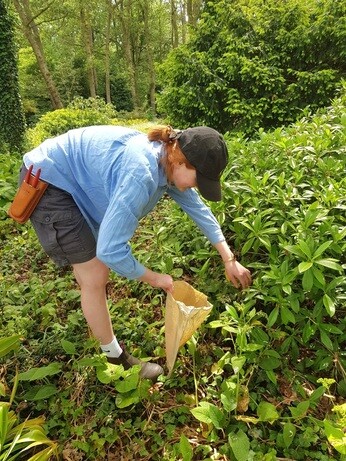 Weekly catch up with garden and propagation