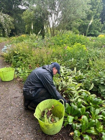 Weekly catch up with garden and propagation