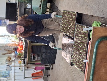 Our Propagation Expert Emily's Favourite Tools