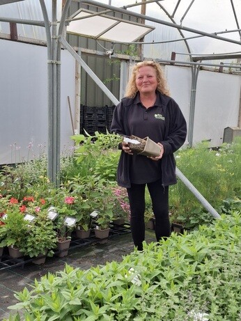Weekly catch up with garden and propagation
