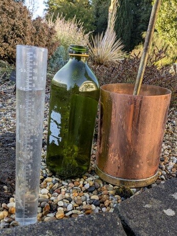 Weekly catch up with garden and propagation