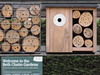 Our Green Roof Bike Shelter 