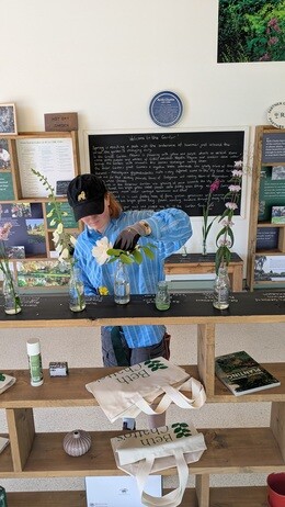 Weekly catch up with garden and propagation