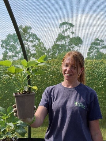 Weekly catch up with garden & propagation