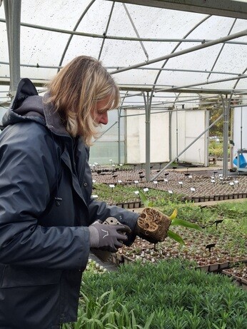 Weekly catch up with garden & propagation