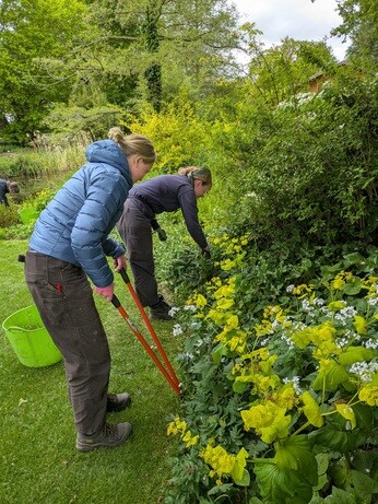 Weekly catch up with gardens & propagation