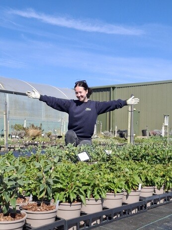 Weekly catch up with gardens & propagation