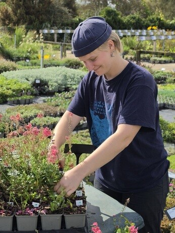 Weekly catch up with garden and propagation