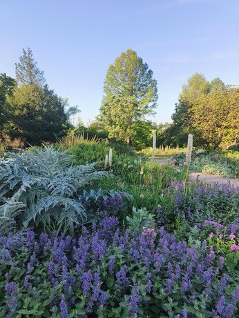 Weekly catch up with garden and propagation