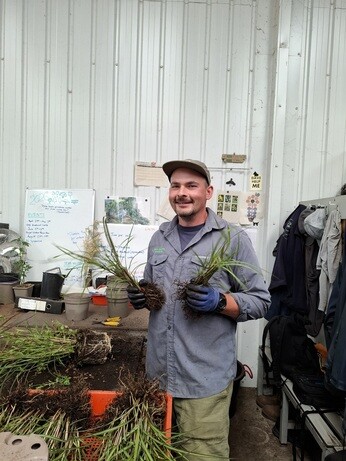 Weekly catch up with garden and propagation Weekly catch up with garden and propagation