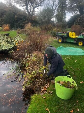 Weekly catch up with garden & propagation