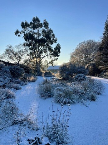 Weekly catch up with garden & propagation