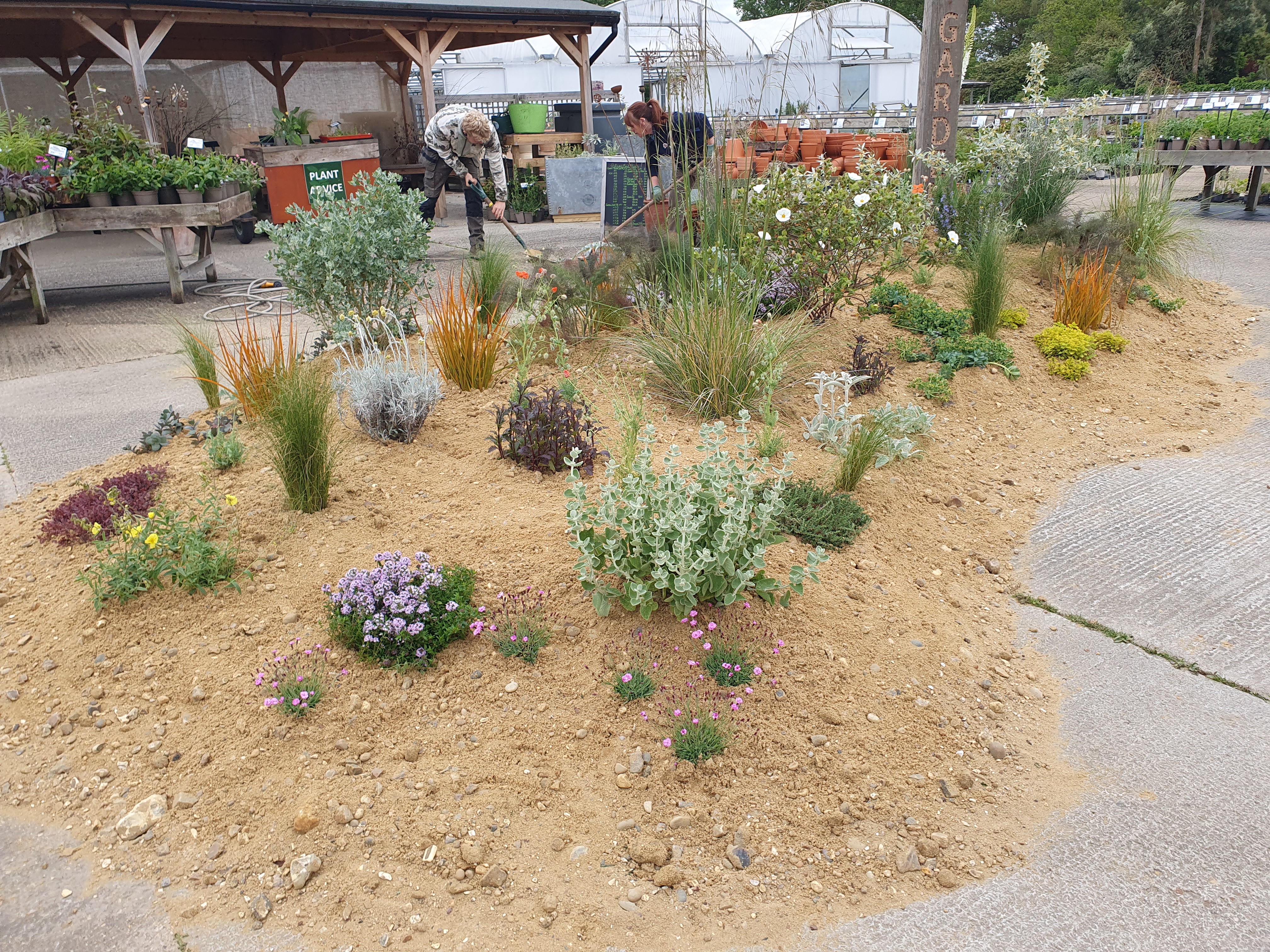 Chelsea inspired sand garden Chelsea inspired sand garden