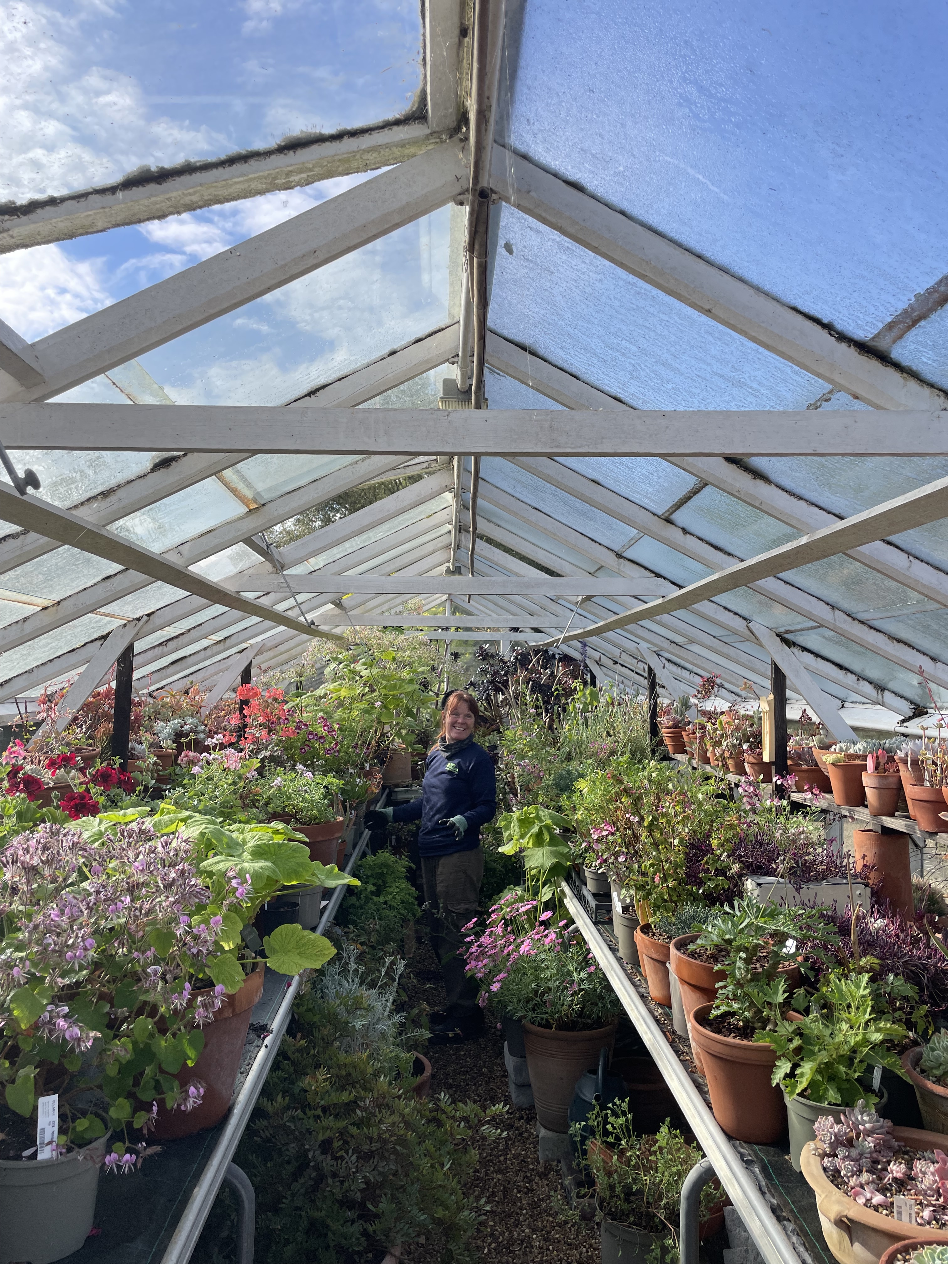 Weekly catch up with garden & propagation