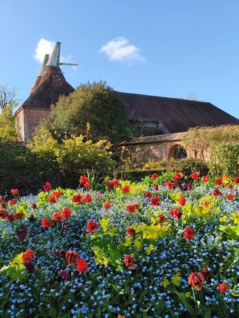 My Year as a Trainee at Beth Chatto Plants & Gardens