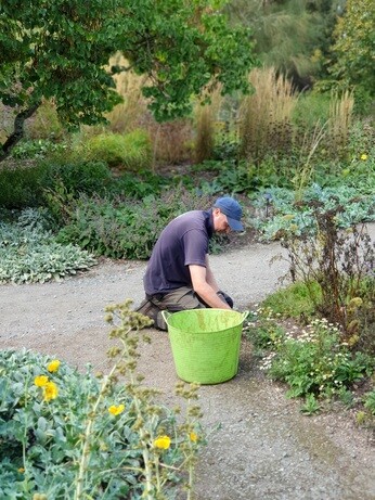 Weekly catch up with garden & propagation