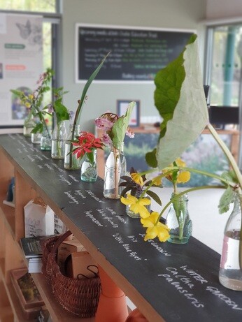 Weekly catch up with gardens & propagation