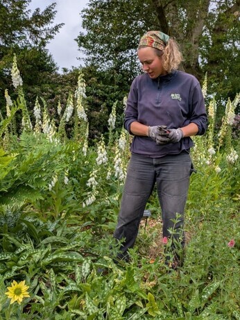 Weekly catch up with garden and propagation