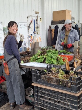 Weekly catch up with garden & propagation
