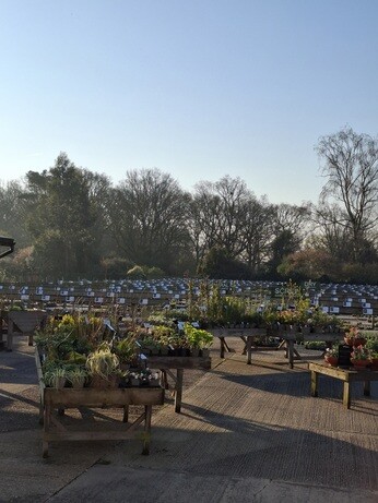 Weekly catch up with garden & propagation