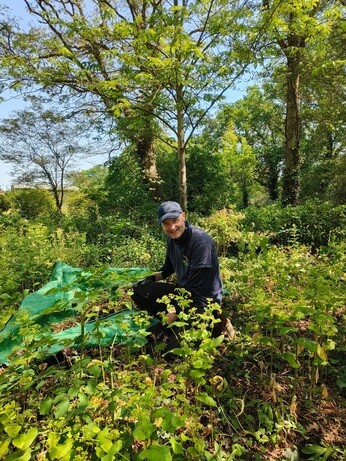 Weekly catch up with garden and propagation