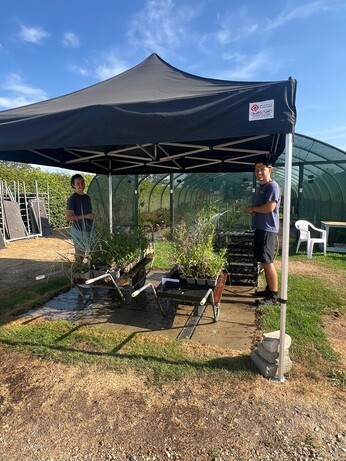 Weekly catchup with garden and propagation Weekly catchup with garden and propagation