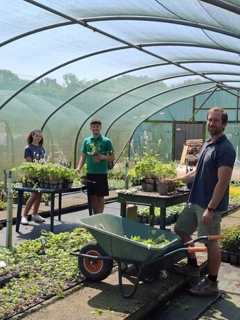 Weekly catch up with garden and propagation Weekly catch up with garden and propagation