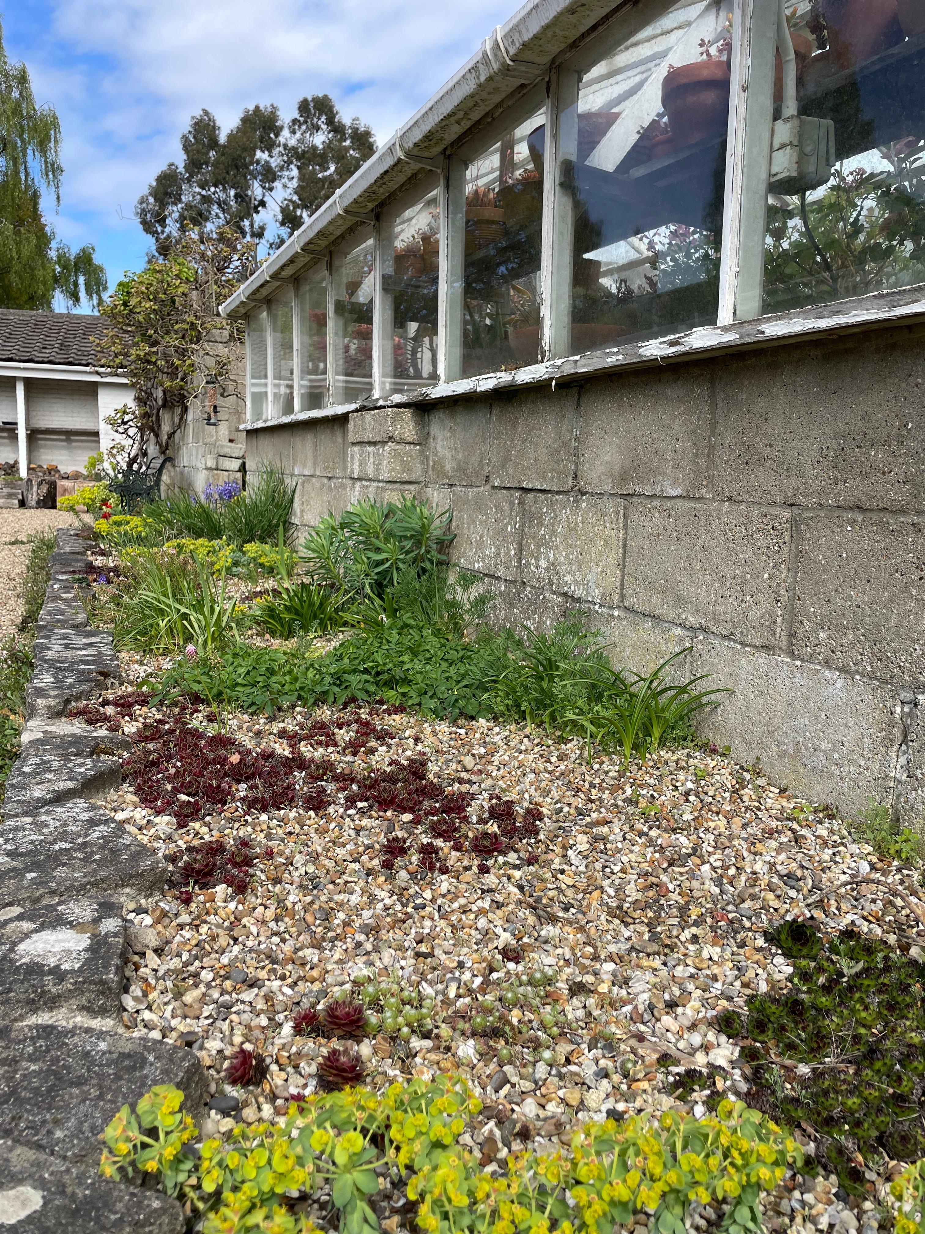 Weekly catch up with garden & propagation