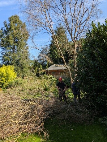 Weekly catch up with garden & propagation