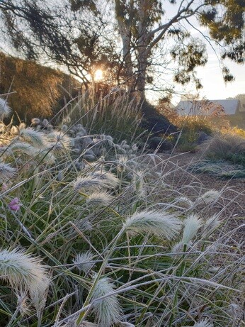 Structure in the winter garden