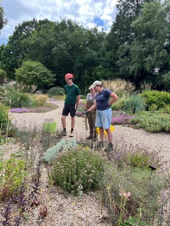 Weekly catch up with garden and propagation