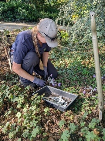 Weekly catch up with garden and propagation