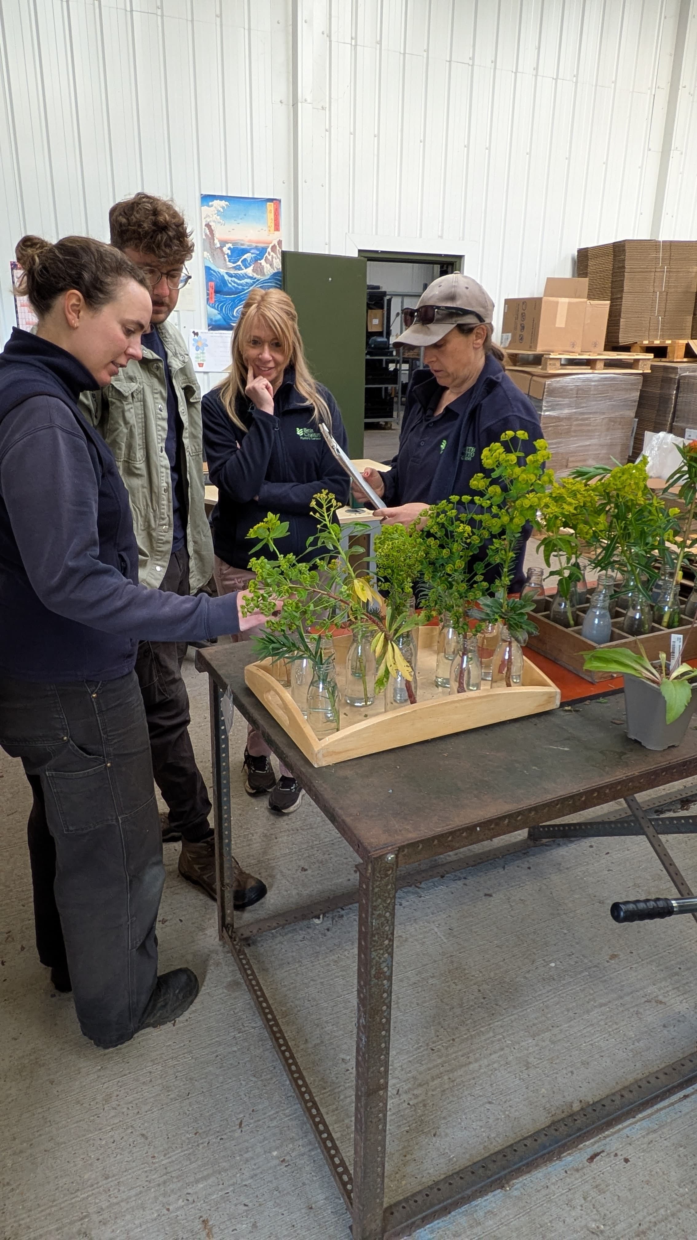 Weekly catch up with garden & propagation