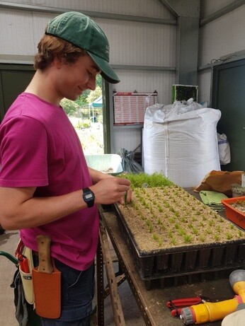 Weekly catch up with garden and propagation Weekly catch up with garden and propagation
