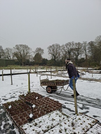 Weekly catch up with garden & propagation