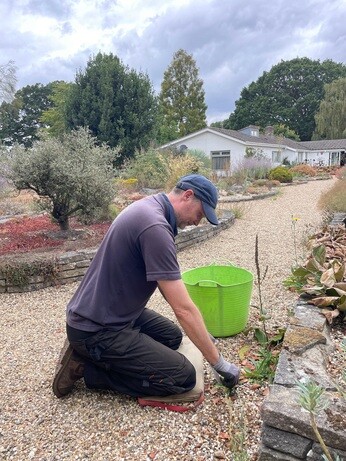 Weekly catch up with garden and propagation Weekly catch up with garden and propagation