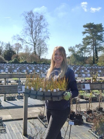Weekly catch up with gardens & propagation 