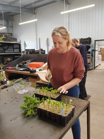 Weekly catchup with garden and propagation Weekly catchup with garden and propagation