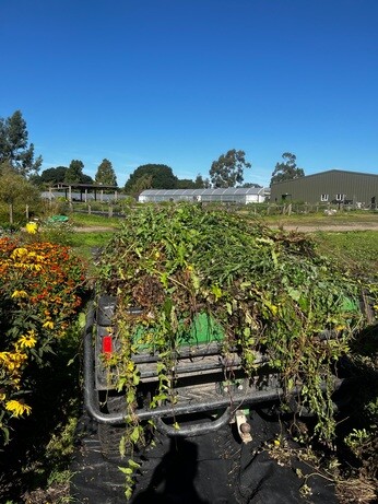 Weekly catch up with garden & propagation