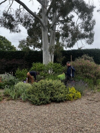 Weekly catch up with garden & propagation