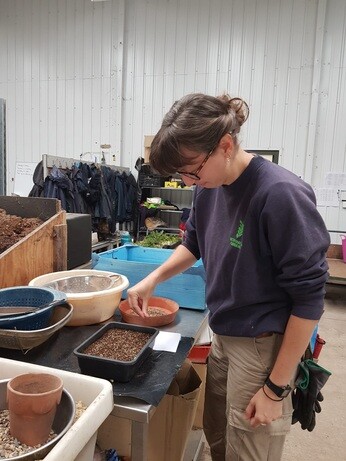 Weekly catch up with garden & propagation Weekly catch up with garden & propagation