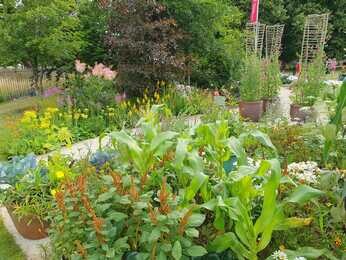 Carol Klein's Iconic Horticultural Hero garden at Hampton Court