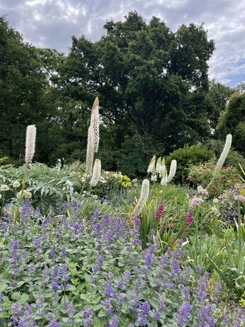 Weekly catch up with gardens & propagation