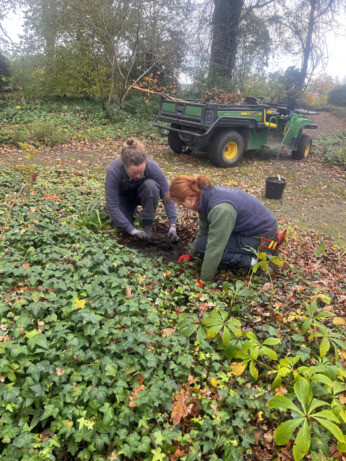 Weekly catch up with garden & propagation Weekly catch up with garden & propagation