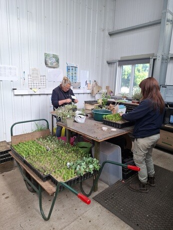 Weekly catch up with gardens & propagation Weekly catch up with gardens & propagation