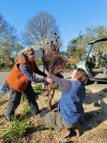 Weekly catch up with garden & propagation