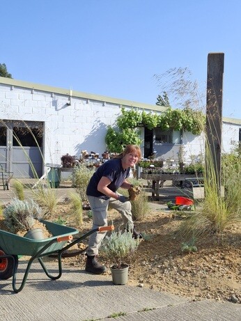 Weekly catch up with garden and propagation